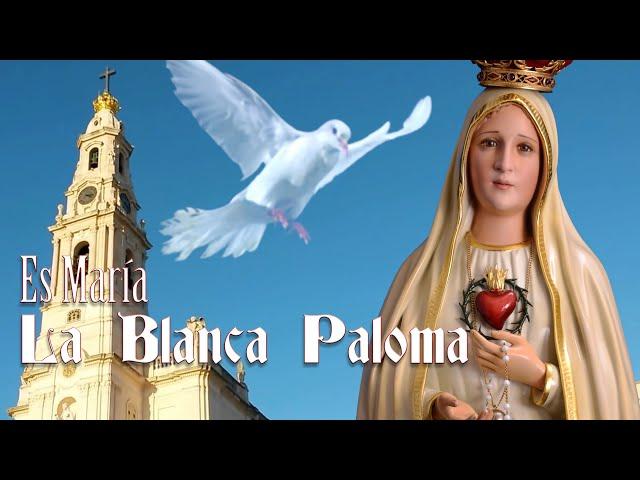 Es María la Blanca Paloma con letra. Música en honor a la Virgen de Fátima  #fatima #blancapaloma