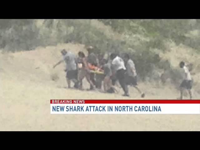 Seventh shark attack off coast of NC