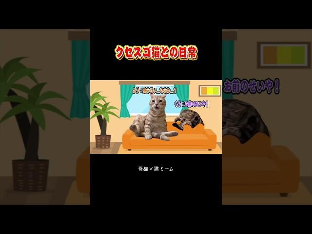 うちの子達で猫ミーム作ってみましたww#吾猫 #funny #cat