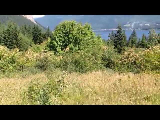 Land for sale 40 Acres Salmon Arm, BC