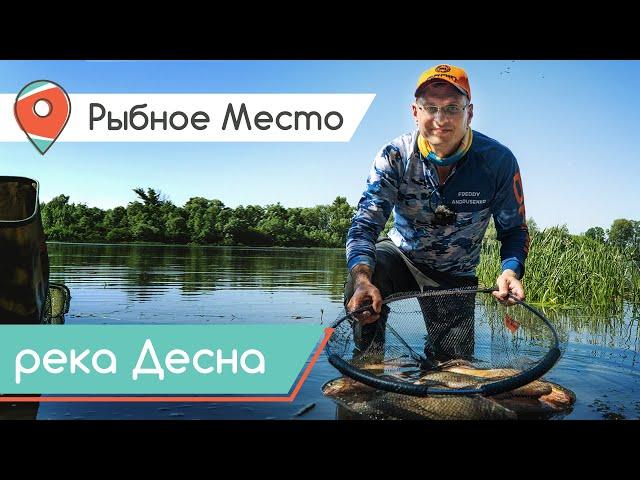 СУПЕР КЛЕВ ЛЕЩА на Десне. Ловля на фидер в кайф! Рыбное место.