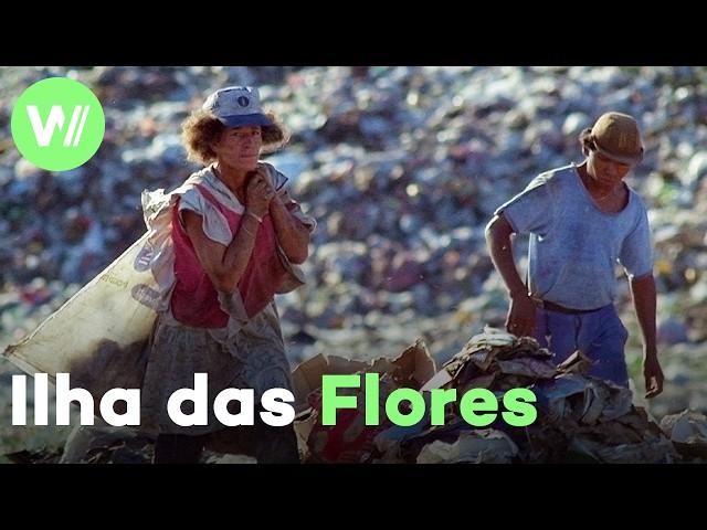 6º – Ilha das Flores (Jorge Furtado, 1989) | Lista dos 100 melhores documentários brasileiros