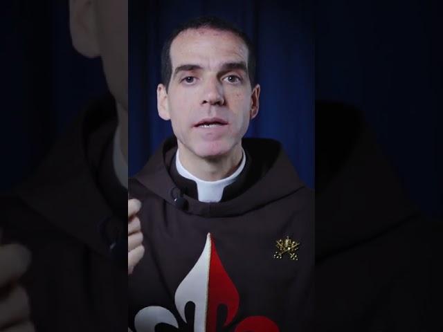 Plotting to catch Him… | Daily Gospel Meditation - Fr. David Richie | October 13th, 2022