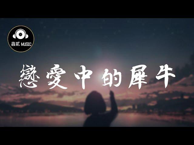 任然 《恋爱中的犀牛/戀愛中的犀牛》『常年在陸地行走』 動態歌詞