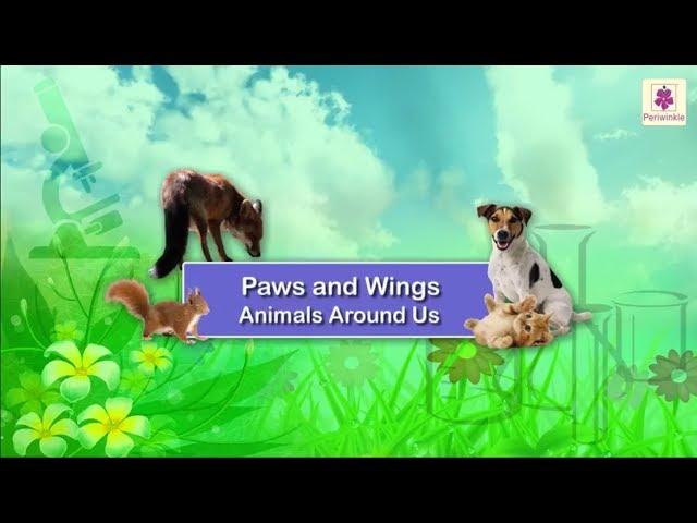 Paws and Wings - Animals Around Us | Science Grade 1 | Periwinkle