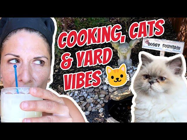 COOKING, CATS & Yard Tour!  #CookingWithStridor #CatAdventures