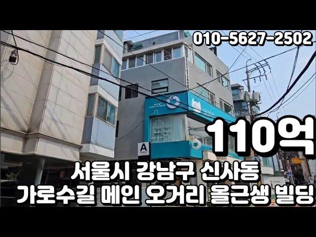 #63 서울시 강남구 신사동 "가로수길 메인 오거리 올근생 빌딩"