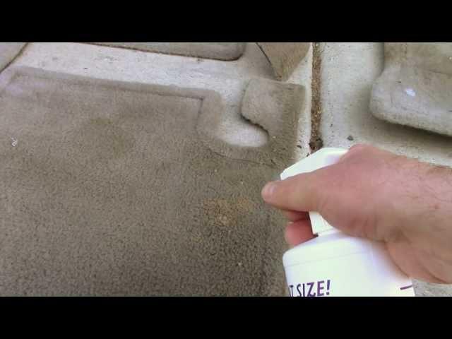 How to clean car carpet floor mats