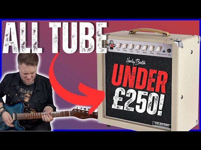 Is This the Best BUDGET Amp? - Harley Benton TUBE15