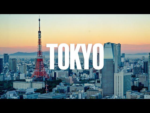 Tokyo | A Car Enthusiast Perspective