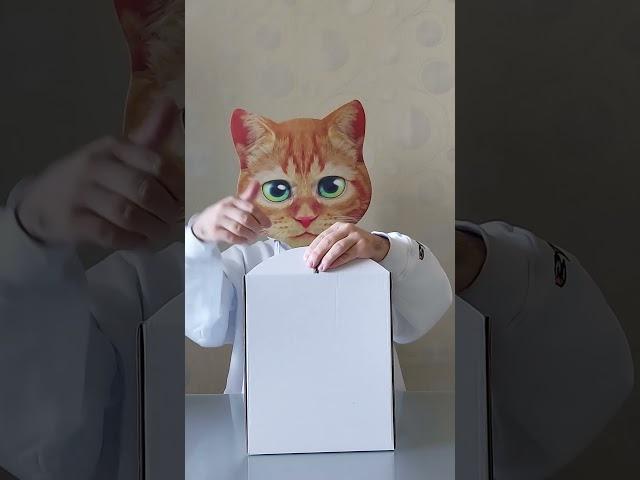 РАСПАКОВКА ТОРТА на 2 МИЛЛИОНА ПОДИСЧИКОВ | Канал Red Cat | Праздничный торт @Shorts