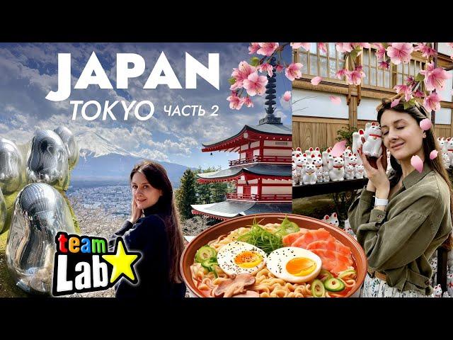 Япония влог, Токио: Увидели гору ФУДЗИ! Ginza, храм котиков Готокудзи, озеро Кавагучико, teamLab