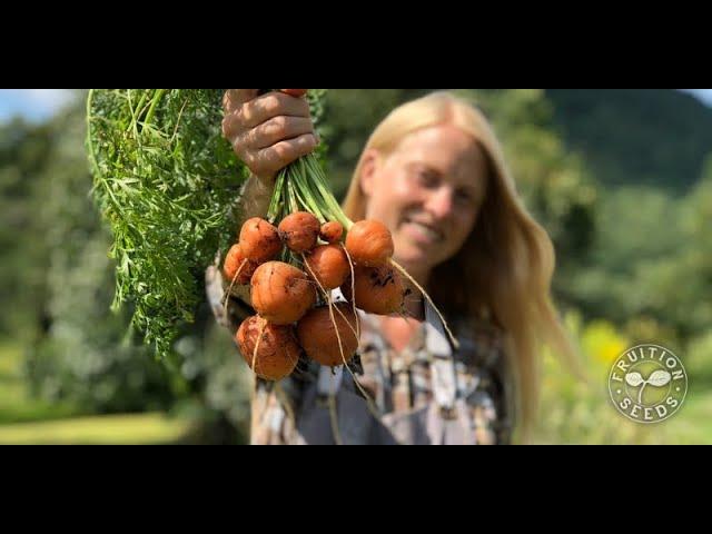 Why We Love Paris Market Carrot