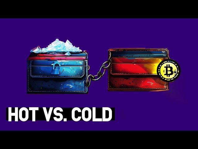 Crypto Wallets: Cold Wallet vs. Hot Wallet (Crypto Wallet App vs. Hardware Wallet)