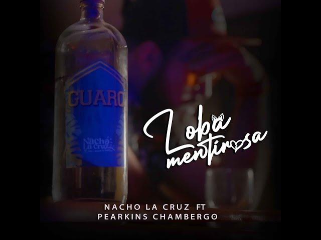 Loba Mentirosa - Nacho La Cruz ft Pearkins Chambergo