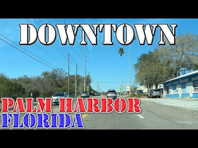 Palm Harbor - Florida - 4K Downtown Drive