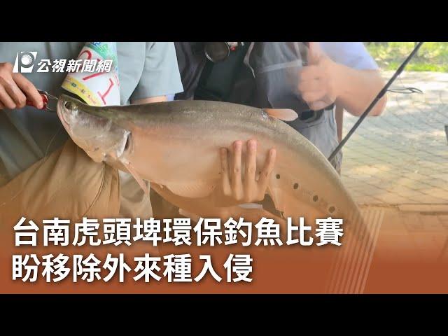 台南虎頭埤環保釣魚比賽 盼移除外來種入侵｜20241117 公視中晝新聞