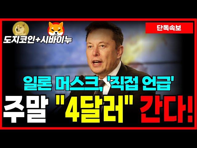 [도지코인+시바이누] 일론 머스크 직접 언급! 주말 대폭등 전망!? 목표가 "4달러" 장전!