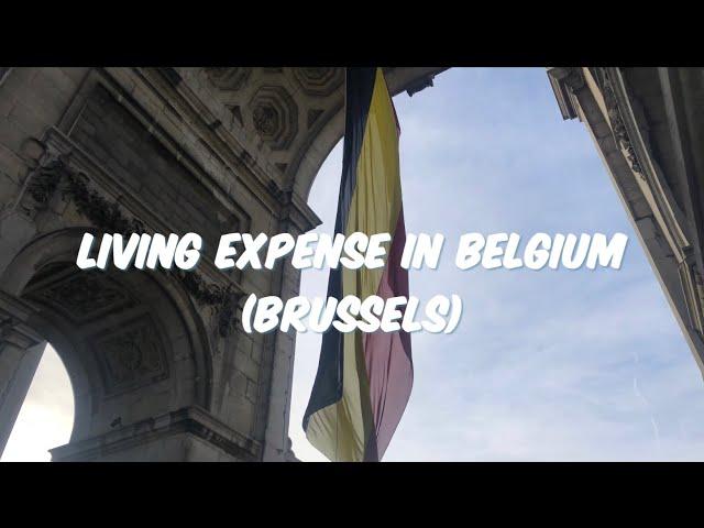 How much would it cost to live in BELGIUM FIVE BASIC ESSENTIAL LIVING COSTs