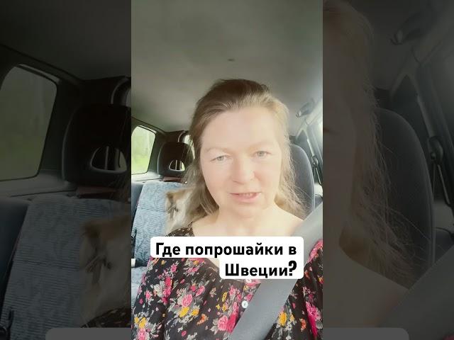Вы где попрошайничать?