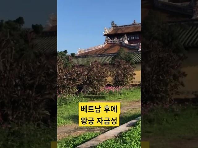 베트남 왕궁 금자성 Forbidden City #palace #vietnam #travel #베트남 #여행 #산책 #walking #history #역사