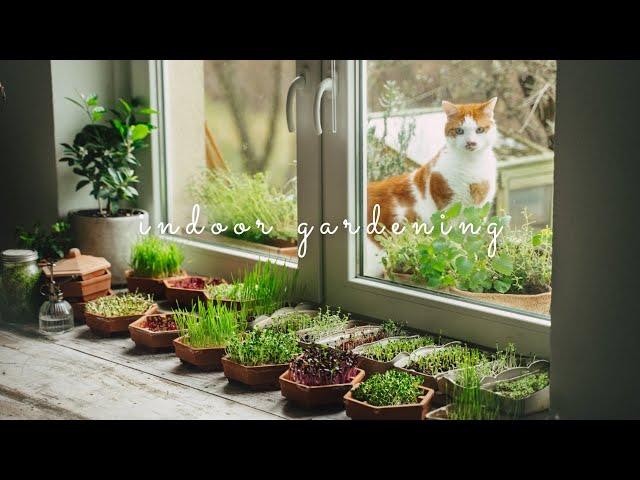 #35 Grow Vegetables Indoors: Microgreens & Sprouts - From Seed to Harvest