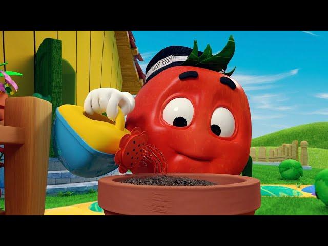 TOMATO DOPPI EPISODES  Garden  FOR KIDS