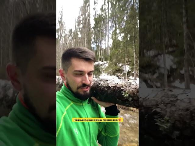 Що ти несеш? #гори #карпати #похід