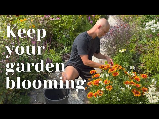 Deadheading for Beginners: Keep Your Garden Blooming All Season | Perennial Garden