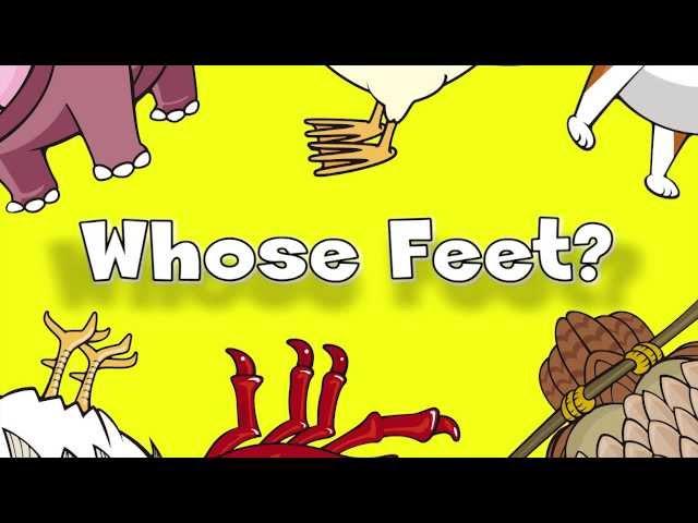 Whose Feet? | Learn Animals Song for Kids