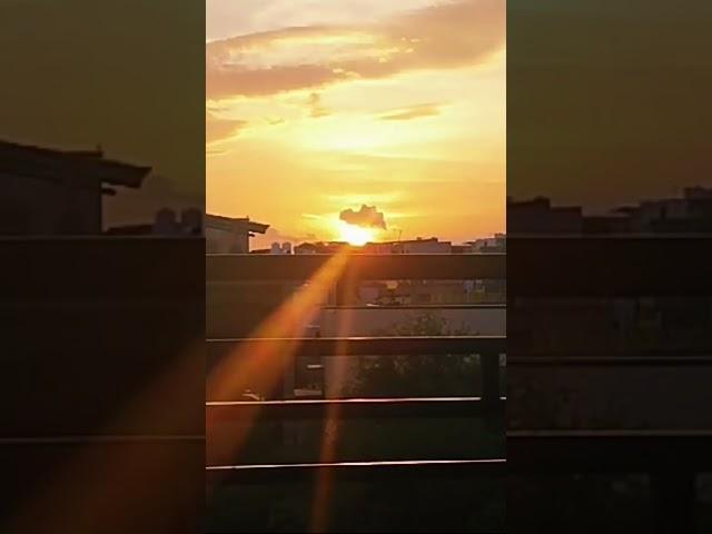 NATURE'S SO BEAUTIFUL  #nature #india #viralshorts