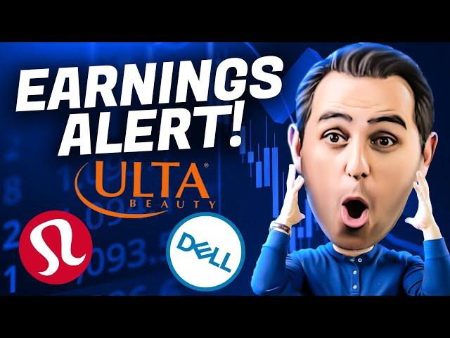 Paul Reacts To ULTA , DELL, + LULU Earnings