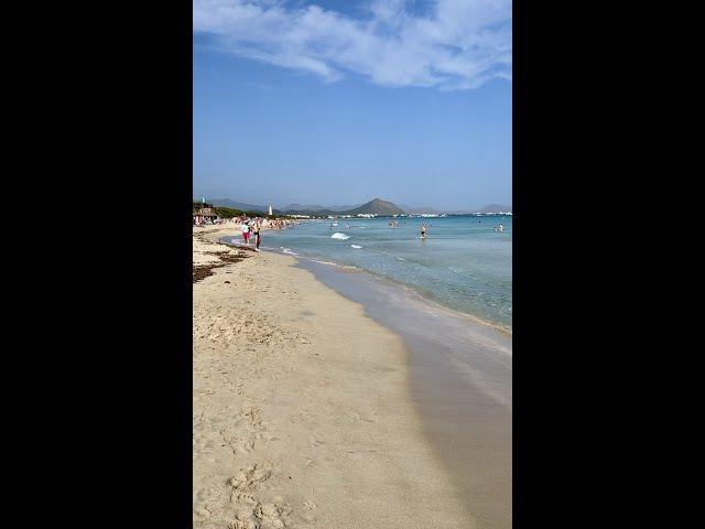 Mallorca's best beach, Playa del Muro, Spain. #shorts