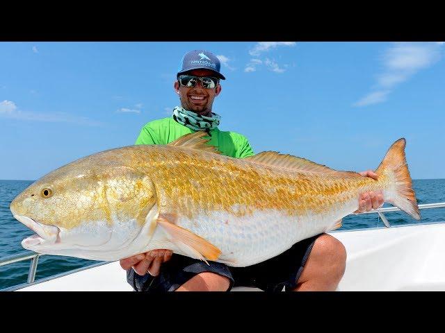 Found Over 10,000 MASSIVE Redfish!!