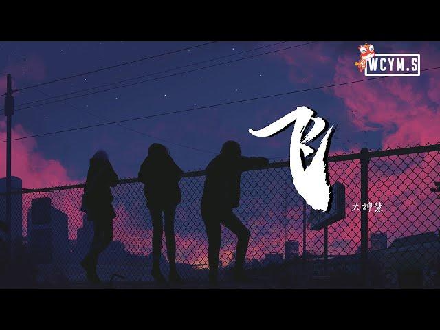 大神慧 - 飞 (完整版) (Cover: 王恩信Est/二胖u)【動態歌詞/Lyrics Video】