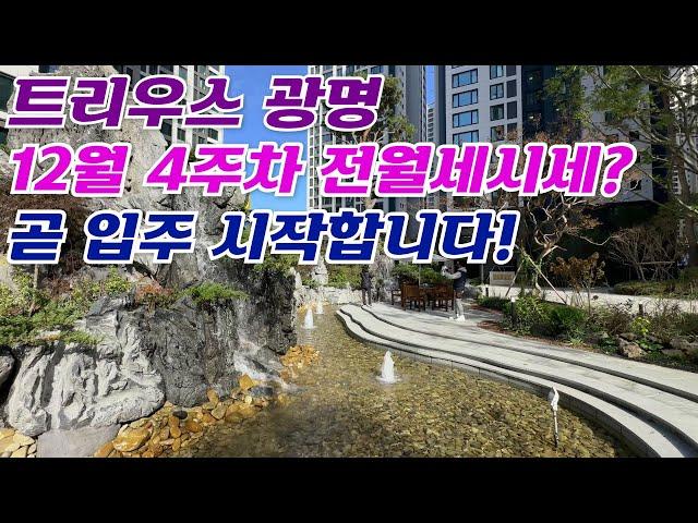 12월4주차) 트리우스광명 전/월세 가격입니다 동/층/뷰에따른 매물다량보유