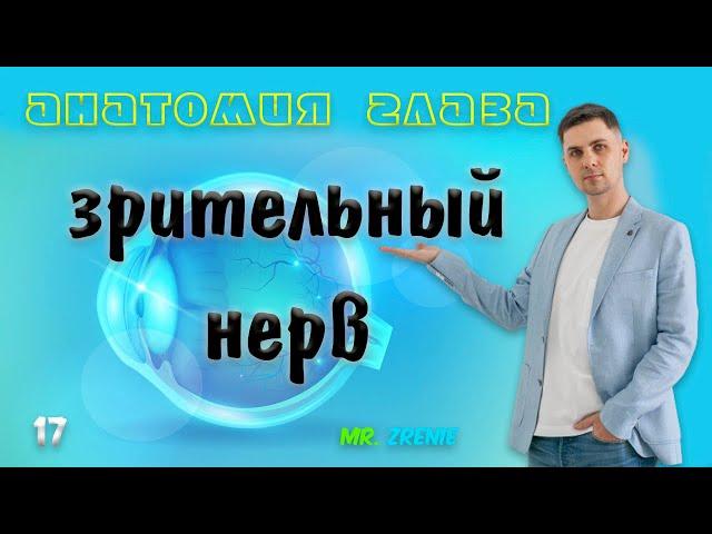 Зрительный нерв | Строение глаза