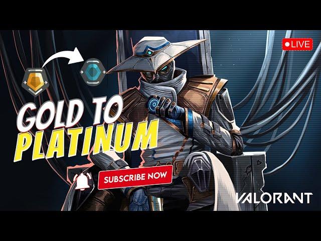 Lets Push Gold 3 To Platinum 1 with Cypher || #valorantlivestream #valorant