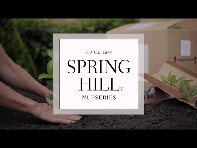 The Spring Hill Nurseries® Difference