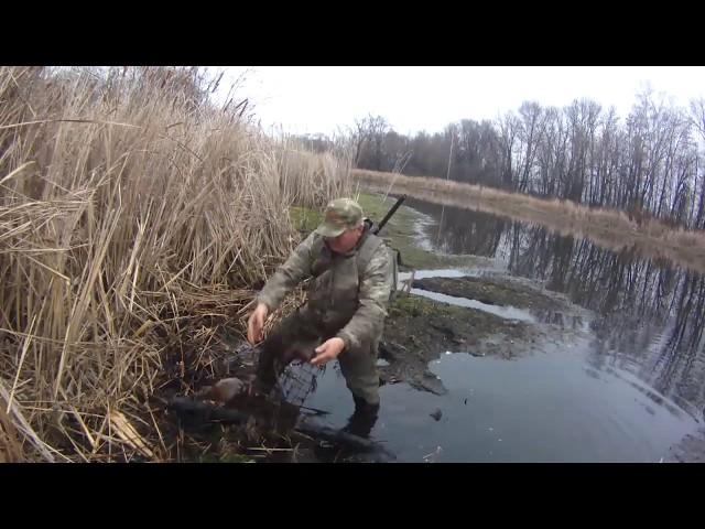 Самый добычливый способ добыть ондатру. Мордушка на ондатру