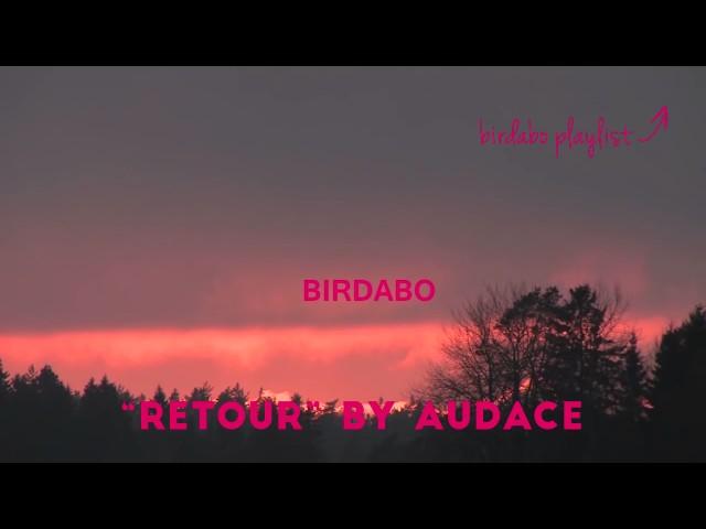 BIRDABO (Pewdiepie LA vlog) | Outro Song | Retour by Audace