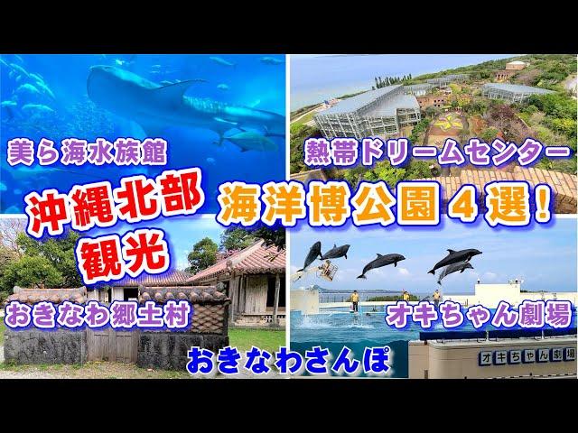 ◤沖縄観光◢ 全公開！『海洋博公園』｢美ら海水族館｣・｢熱帯ドリームセンター｣・｢オキちゃん劇場（イルカショー）｣・｢おきなわ郷土村｣ 2K 30fps 256 【おきなわさんぽ】