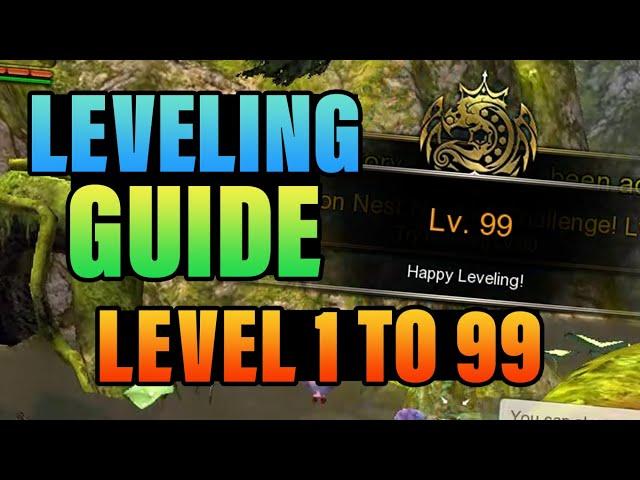 Leveling Guide MAIN QUEST For Beginners Dragon Nest SEA