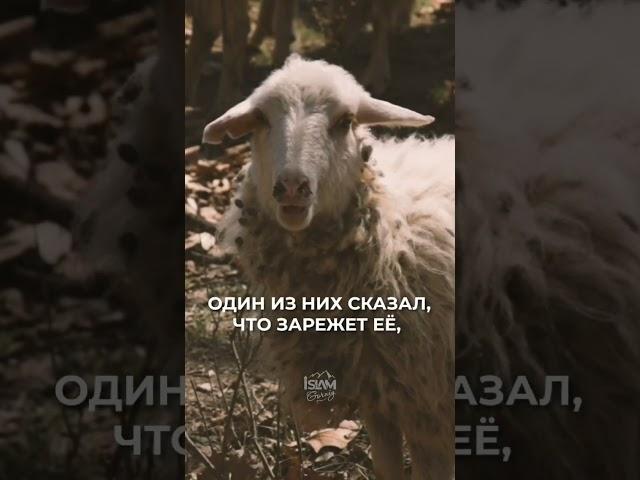 Кого не любит Аллах