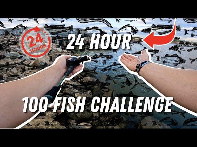 Can I Catch 100 Fish in a Day? Multi-Species Challenge!