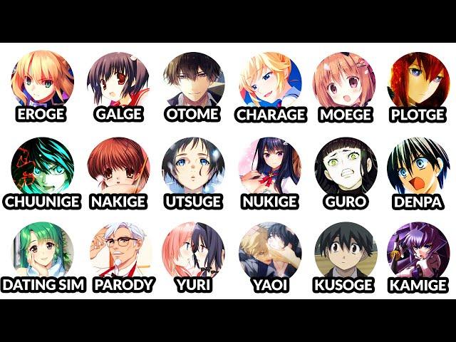 Every Visual Novel Genre Explained in 10 Minutes