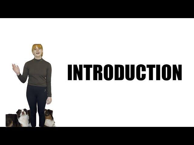 Pawsitive Choices Academy Cincinnati Introduction VIdeo