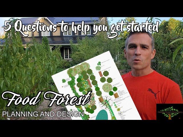 So you want a food forest. Now what? 5 questions to help you get started.