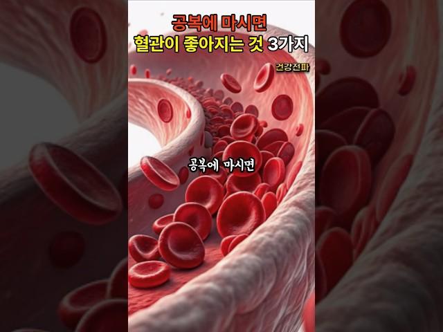 공복에 마시면 혈관이 좋아지는 것 3가지