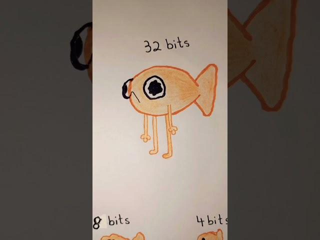 Steve Le Poisson but it's 64 bits, 32 bits, 16 bits, 8 bits, 4 bits, 4 bits, 2 bits, 1 bite meme